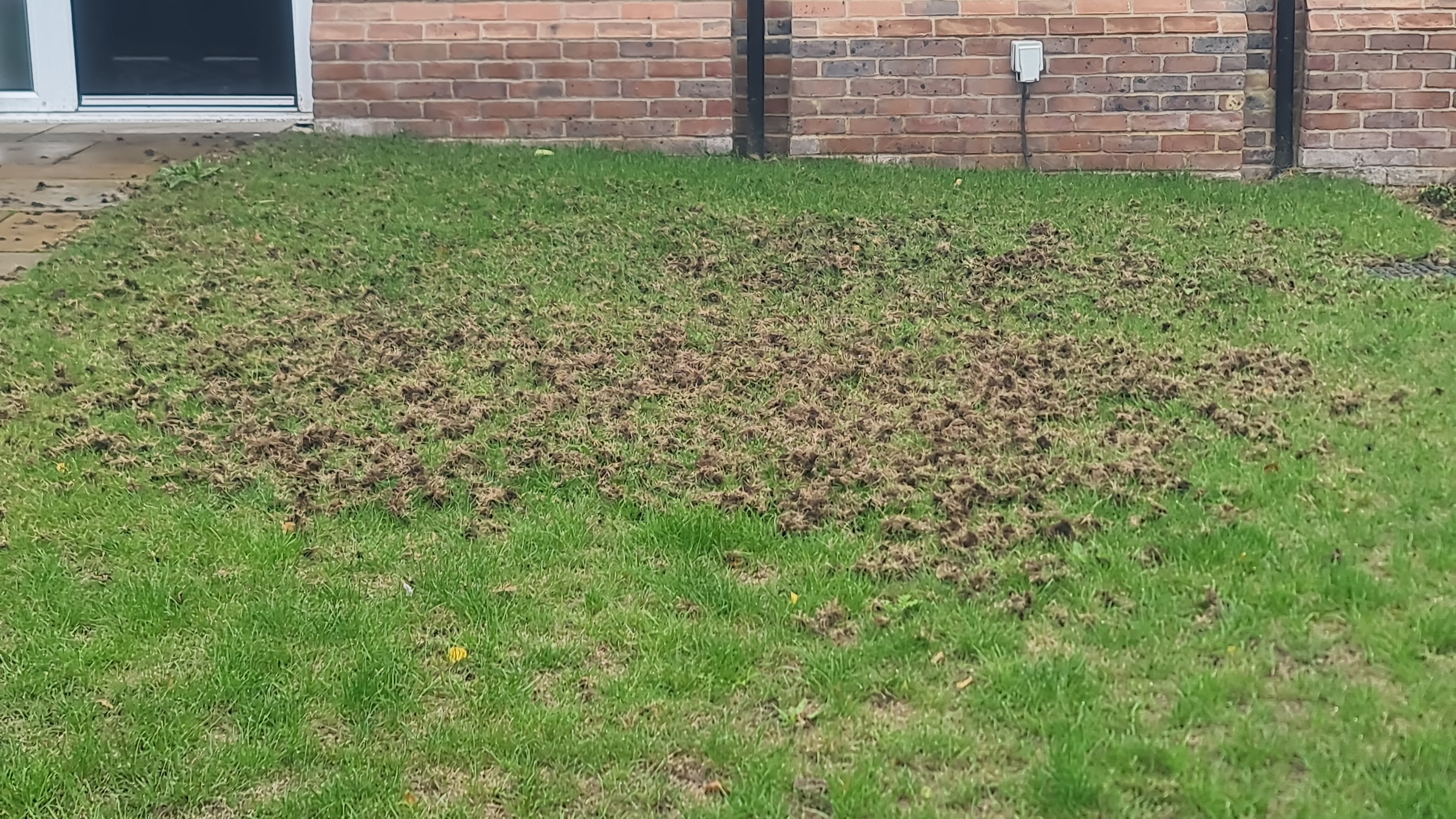 Electric Gate Wiring